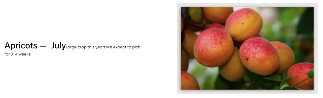 不踩雷！多伦多周边5个谷歌评分4分+的摘樱桃果园：哪家采摘体验感最佳？