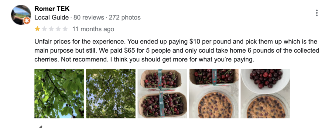 不踩雷！多伦多周边5个谷歌评分4分+的摘樱桃果园：哪家采摘体验感最佳？