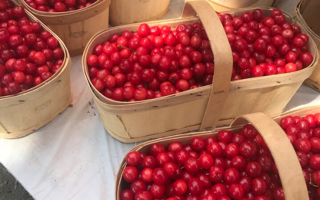 不踩雷！多伦多周边5个谷歌评分4分+的摘樱桃果园：哪家采摘体验感最佳？