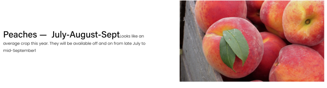 不踩雷！多伦多周边5个谷歌评分4分+的摘樱桃果园：哪家采摘体验感最佳？