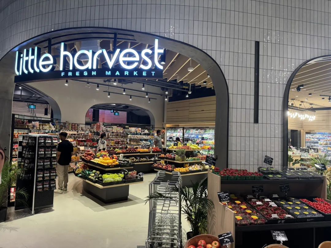 City不City啊~多伦多网红打卡新地标The Well：城市街溜子暴走传说中的“三里屯”