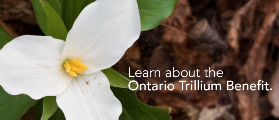 能源补贴、地税补贴、消费税补贴,一篇看懂安省的OTB福利金 能源补贴、地税补贴、消费税补贴,一篇看懂安省的OTB福利金