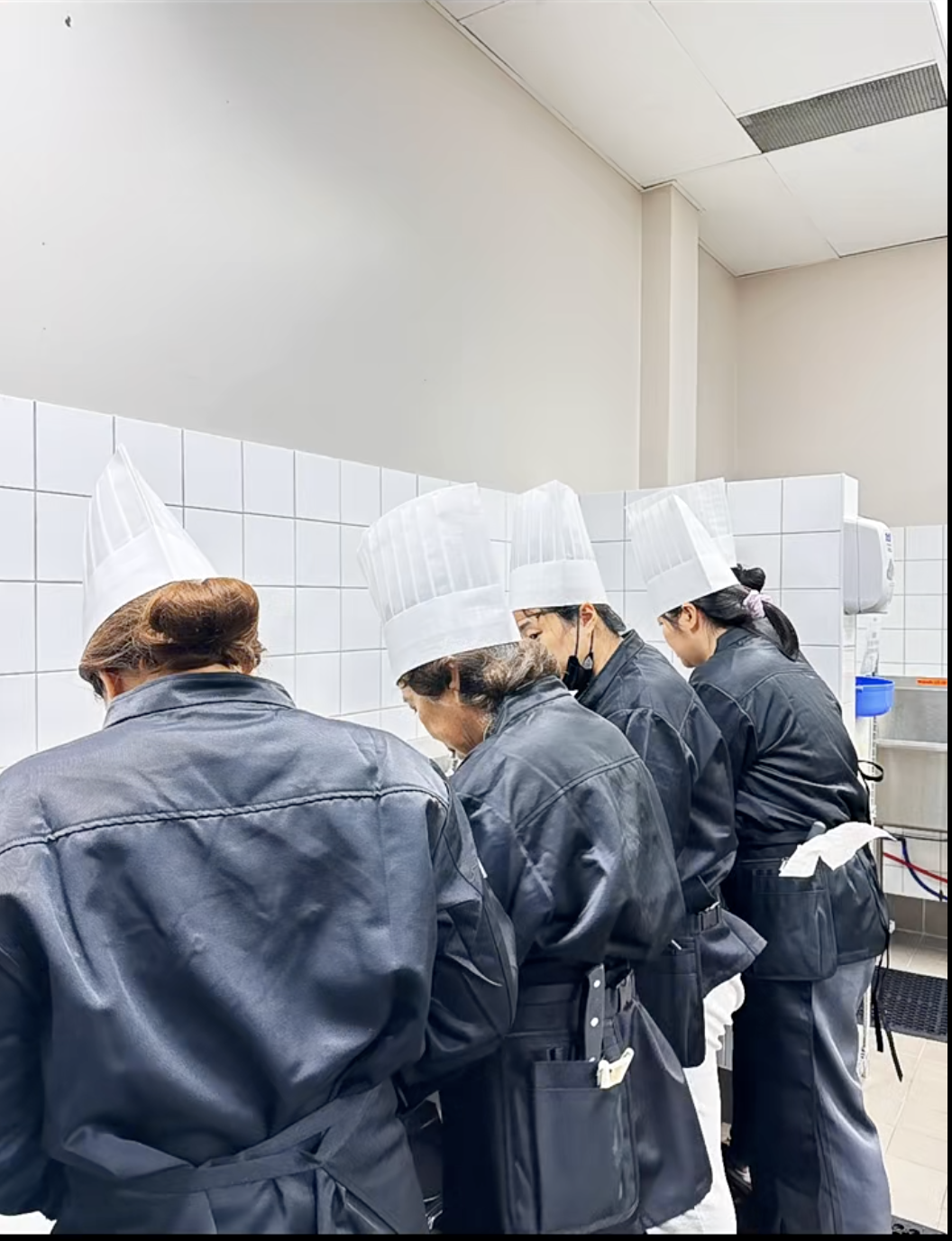 安省政府学费补贴高达2.8万！10个月变身西餐大厨：当厨师开餐厅