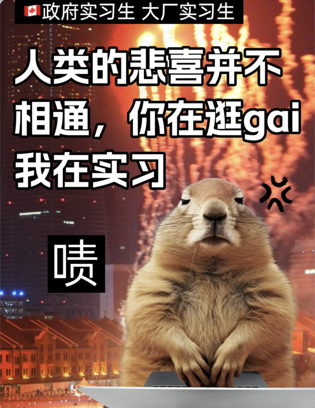 有人逛gai,有人实习!万锦市政府暑期带薪实习开放申请:在市政府工作是种什么体验? 有人逛gai,有人实习!万锦市政府暑期带薪实习开放申请:在市政府工作是种什么体验?
