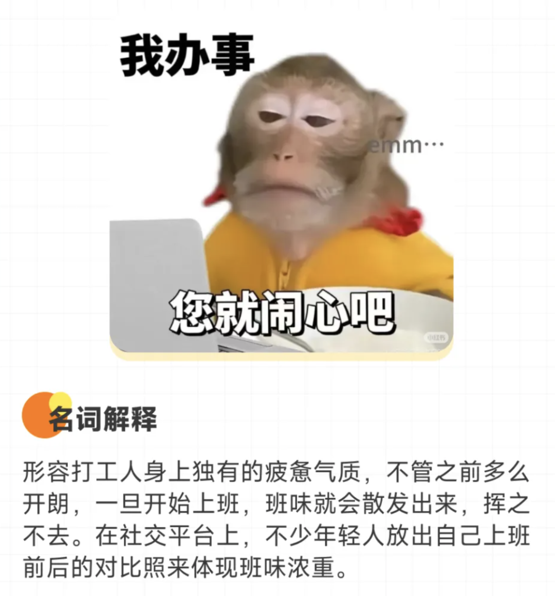 你真是饿了！已老实求放过！硬控你2024的网络热梗：课代表0帧起手