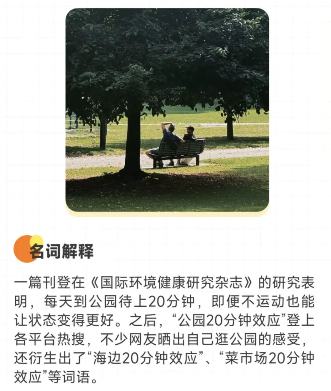 你真是饿了！已老实求放过！硬控你2024的网络热梗：课代表0帧起手