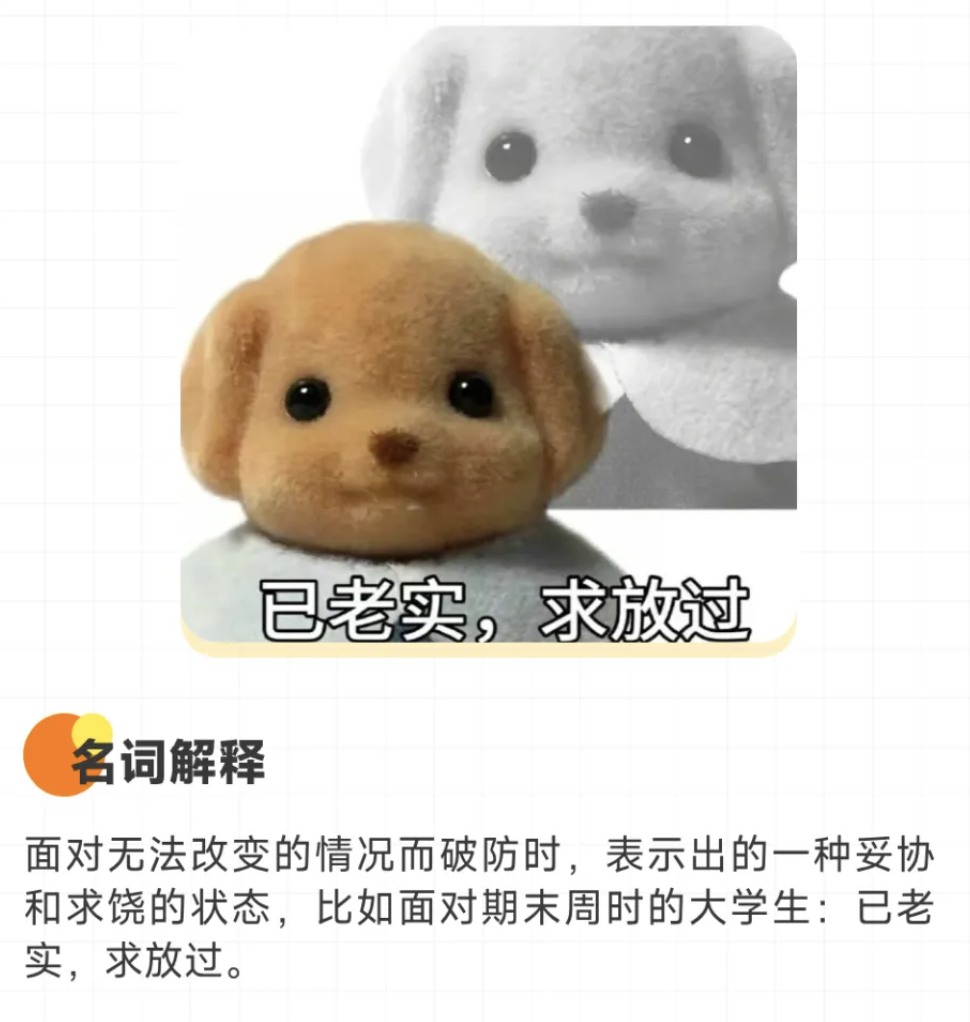 你真是饿了！已老实求放过！硬控你2024的网络热梗：课代表0帧起手