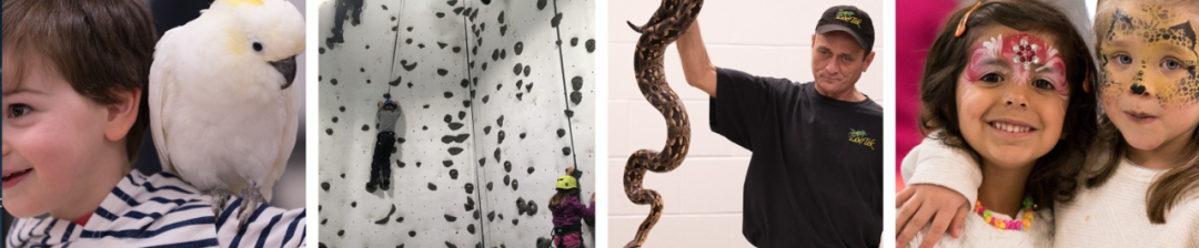 倒数3，2，1，2025上链接！多伦多各区跨年夜：去哪儿看烟花？