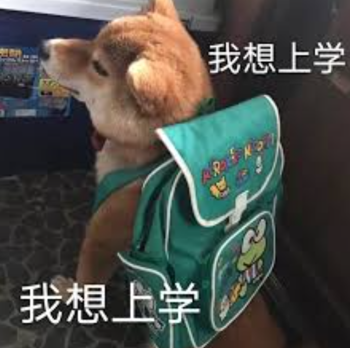 大多伦多各教育局JK报名攻略：TDSB今天开始报名！找组织看这里