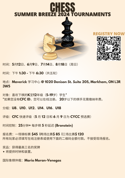 Brown Minimalist Chess Tournament Poster